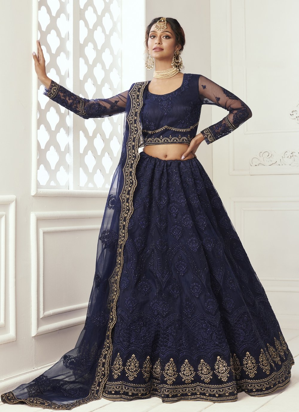 Embroidered Net Lehenga Choli