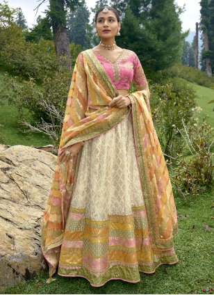 Lehenga in Saree style: Red with Embroidered Blouse & Sheer Jacket | Lengha  saree, Indian bridal wear, Lehenga saree