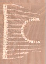 Orange Net Embroidered Classic Sari